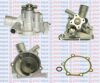 AQUAPLUS 85-4395 Water Pump